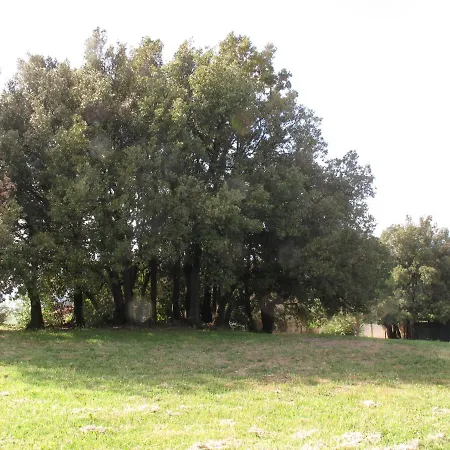 Podere Sequercianino * 加沃拉诺