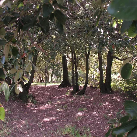Podere Sequercianino Apartment